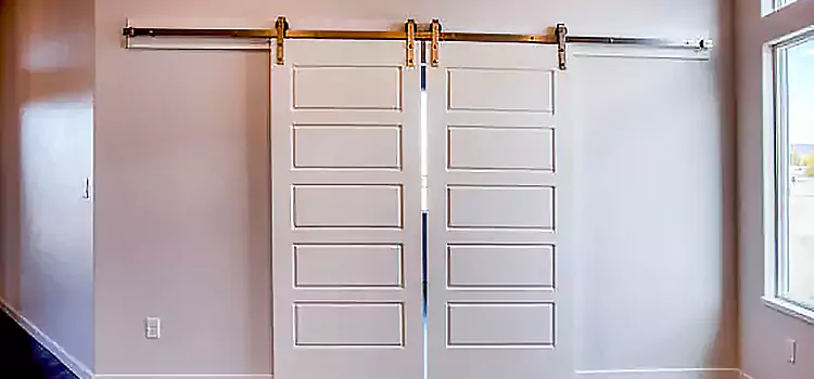 Glass Barn Door with Installation Hardware Kit Delray Beach