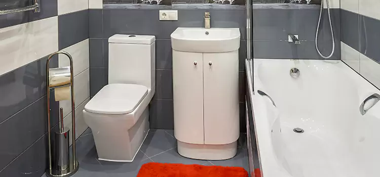 Hansgrohe Shaving Mirror Delray Beach